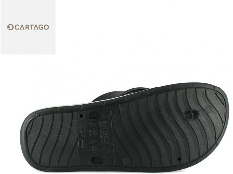 MOŠKI CARTAGO PARIS THONG AD 11591 GREY/