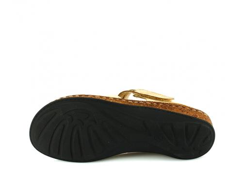 ŽENSKI TEXX 3861-43170 TAUPE