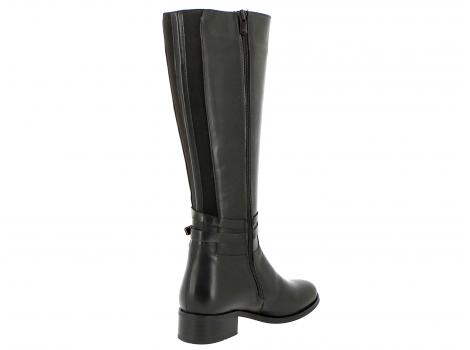 ŽENSKI ŠKORNJI CANILH 593.05 88 BROWN