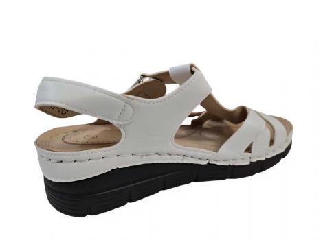 ŽENSKI COMER LTH-83 WHITE/CAMEL